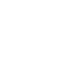 Wallis Logo